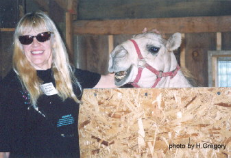 Dorothy Niver Habif & camel 'Moanie'